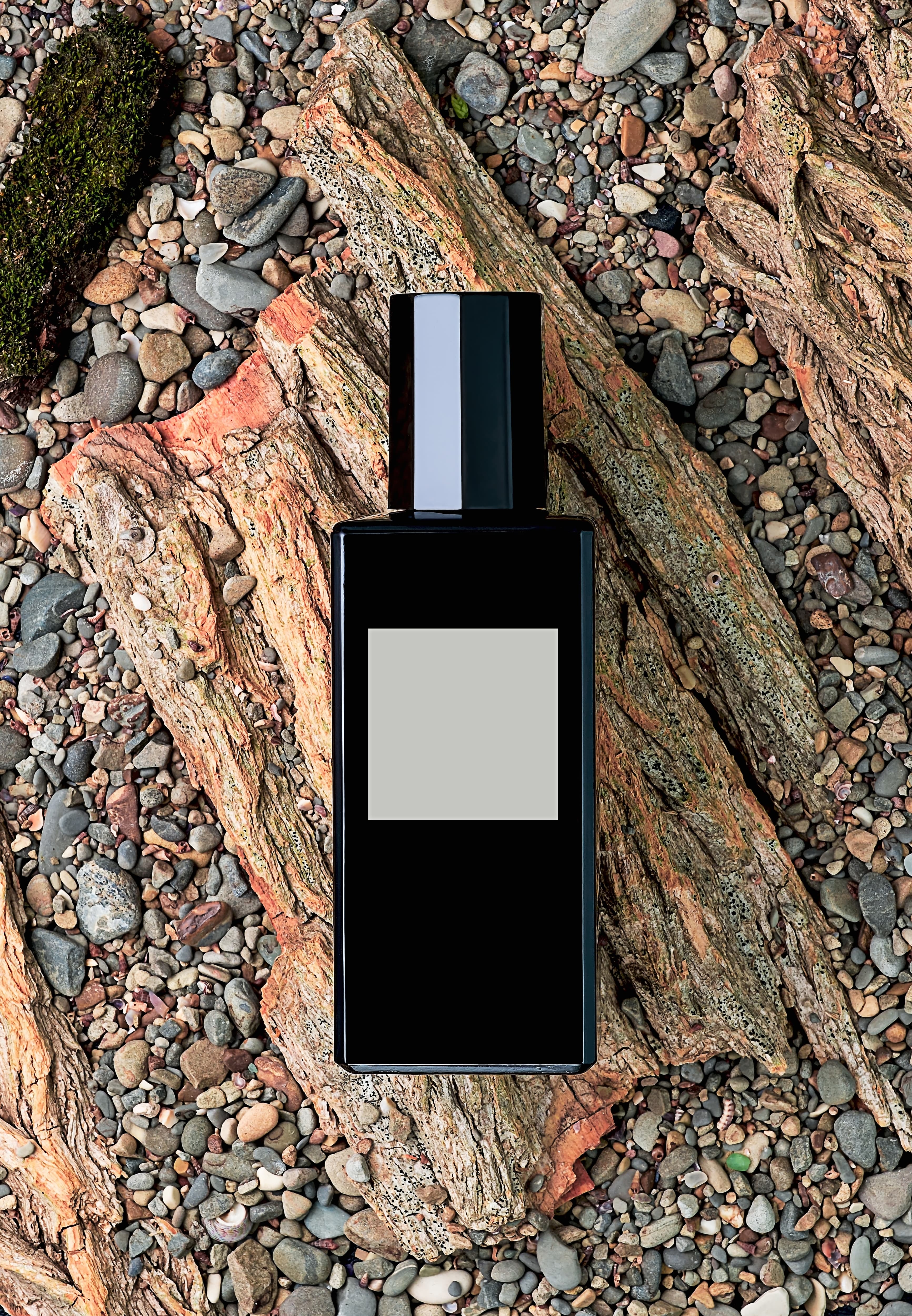 Essence Reign (Creed Aventus)